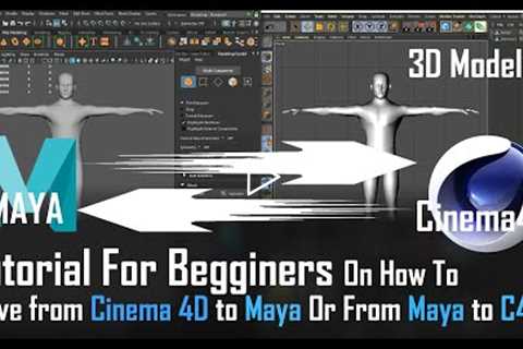 3D MODELING BASICS FOR BEGINNERS IN CINEMA 4D and MAYA (MOVING from CINEMA 4D to MAYA)Modeling tools