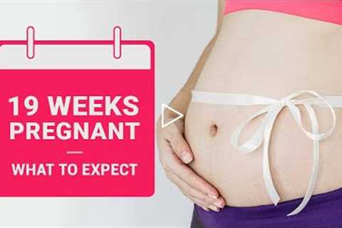 19 Weeks Pregnant - Baby Development, Symptoms, Dos and Don'ts