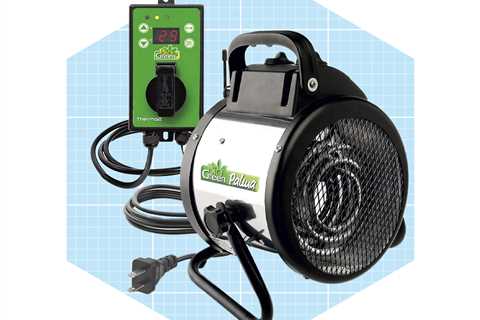 6 Best Greenhouse Heaters