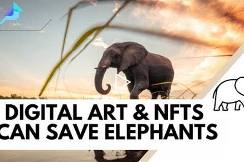 How Digital Art & NFTs Can Save Elephants | NFT Tourism Interview With Unchained Elephants