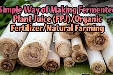 Simple Way of Making Fermented Plant Juice (FPJ)/Organic Fertilizer/Natural Farming