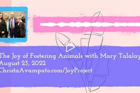 The Joy of Fostering Animals with Mary Talalay