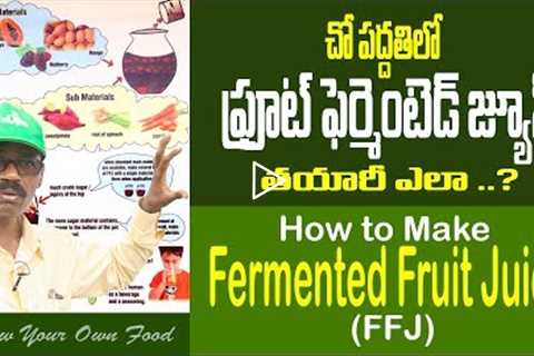 How to Make Fermented Fruit Juice (FFJ)