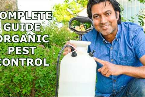 Pesticide Companies Don't Want You to Know These Secrets | Complete Guide to Organic Pest Control