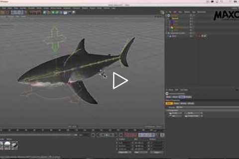 Webinar Character Animation In Cinema 4D