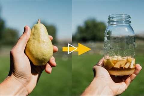 How To: Fermented Fruit Juice Natural Farming