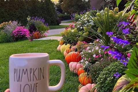 10 Landscaping Ideas To Make Your Home Stand Out for Halloween