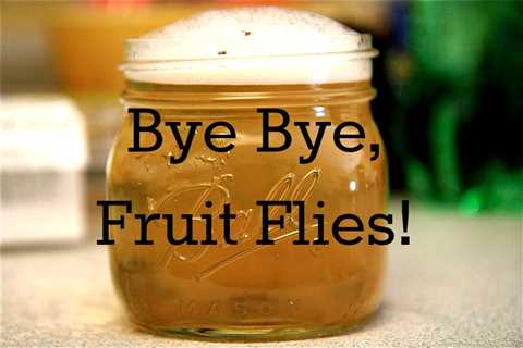 How to Kill Fruit Flies Once and For All... - SmartLiving - (888) 758-9103