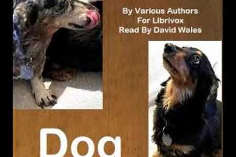 Best Books - Dog: A Selection of Stories | by Various