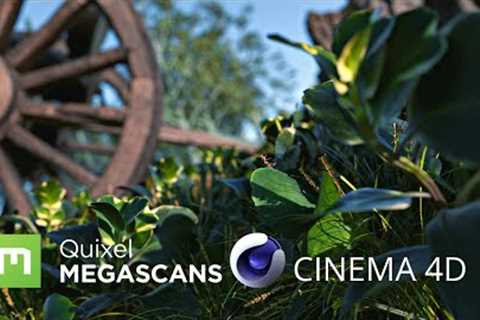 Cinema 4d Quixel Megascans Octane Render | @OTOY Tutorial In HINDI