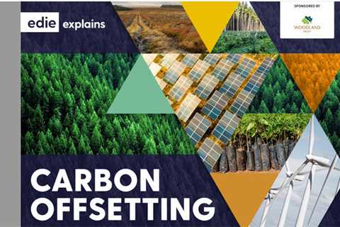 What is Carbon Offsetting and How Does it Work?