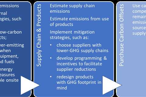 Carbon Neutral Examples