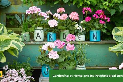 Gardening At Home and Its Psychological Benefits