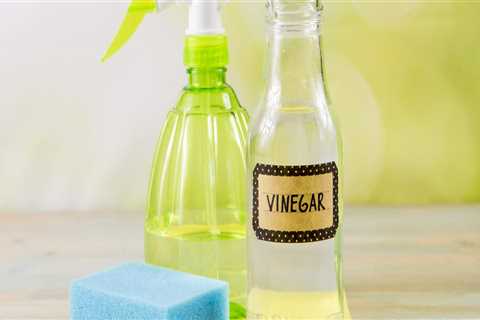 Does vinegar permanently kill mold?