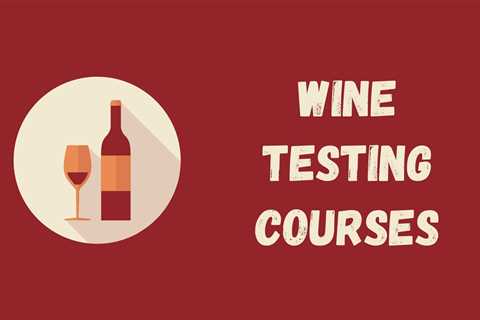 7 Best Wine Tasting Courses For Beginners in 2023