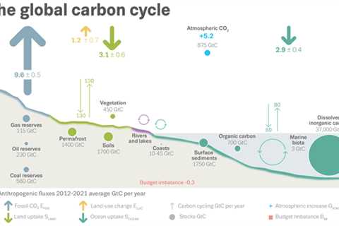 Carbon Offsetting – What is a Major Limitation of Carbon Offsetting?