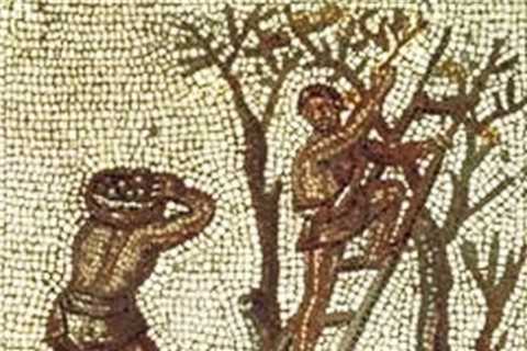 The Ancient Roman, Medieval & Modern Way of Making Olive Oil