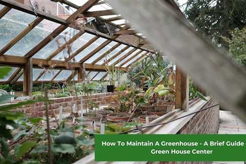 How To Maintain A Greenhouse – A Brief Guide From Green House Center