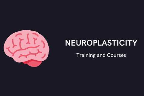 6 Best Neuroplasticity Training and Courses - Learn Neuroplasticity Online