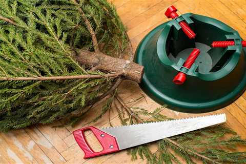 How Long Do Christmas Trees Last?