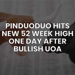 PinDuoDuo Earnings UOA Hits a Home Run – 52 Week High 1 Day After UOA