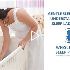 Gentle Sleep Training: Discovering the Revolutionary Method of the Sleep Lady Shuffle