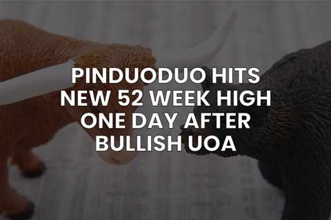 PinDuoDuo Earnings UOA Hits a Home Run – 52 Week High 1 Day After UOA