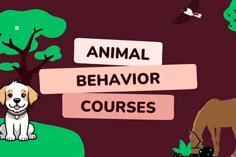 5 Best Animal Behaviour (Ethology) Courses For Beginners in 2024