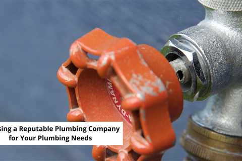 Choosing a Reputable Plumbing Company for Your Plumbing Needs