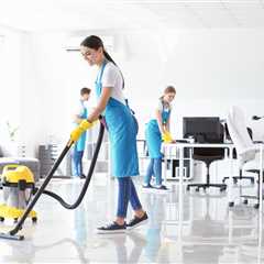 Navigating the Difference Between Domestic and Professional Cleaning