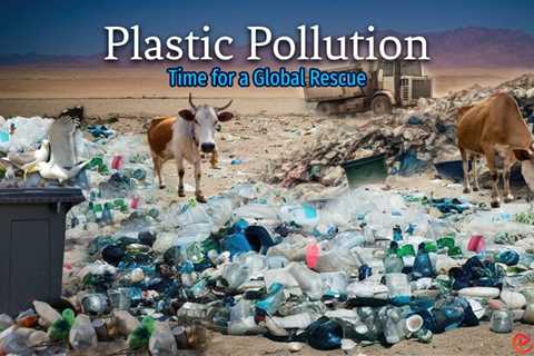 Essay on Plastic Pollution