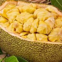 What Is Jackfruit and How To Use It