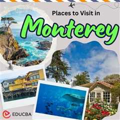 Places to Visit in Monterey