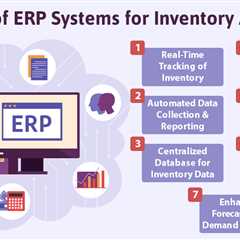 ERP Systems for Inventory Audits