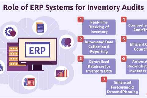 ERP Systems for Inventory Audits