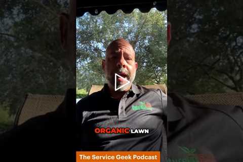 Mastering Organic Lawn Care: My Journey to Sustainable Solutions