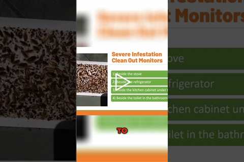 Top Monitoring Tips for Effective Roach Control