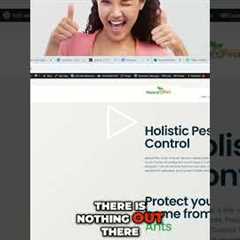 The REAL Secret to SEO Success (No Shortcuts!)