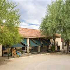 The State of Gifted and Talented Programs in Maricopa County, Arizona