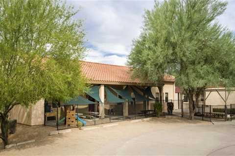 The State of Gifted and Talented Programs in Maricopa County, Arizona
