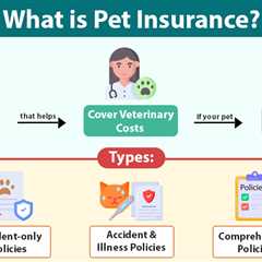 Pet Insurance