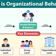 Organizational Behavior