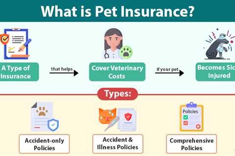 Pet Insurance