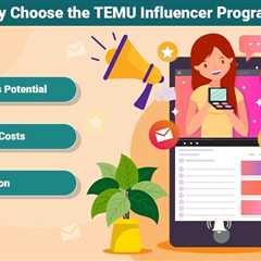 TEMU Influencer Program