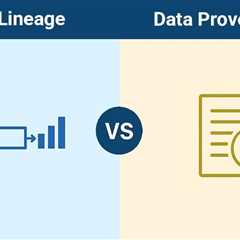 Data Lineage vs Data Provenance