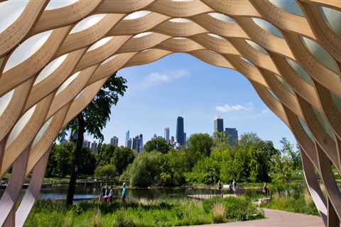 The Comprehensive School Programs in Lincoln Park, Michigan