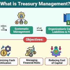What is Treasury Management?