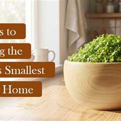 How to Grow Wolffia at Home?