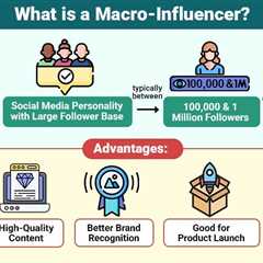 Macro-Influencer