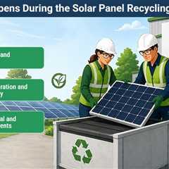 The Complete Guide to Solar Panel Recycling for Businesses
